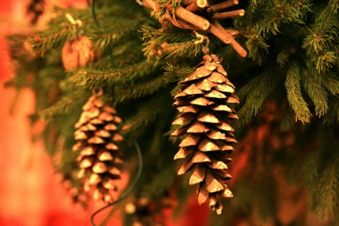 3rd Advent Crafts & Tale Market - Pécs