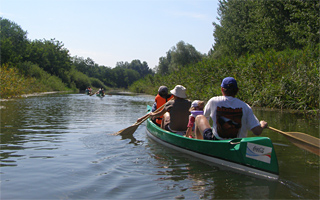Beaver, the invader - Canoeing along the old Danube